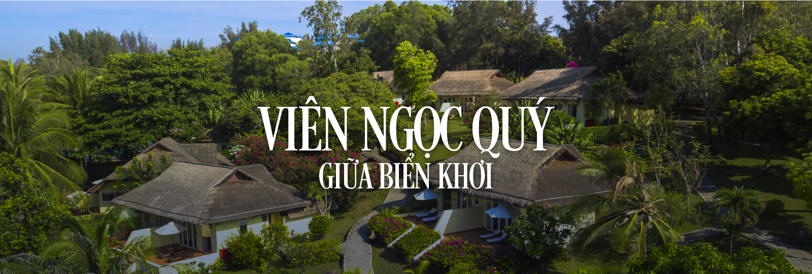 Trang chủ - Victoria PT