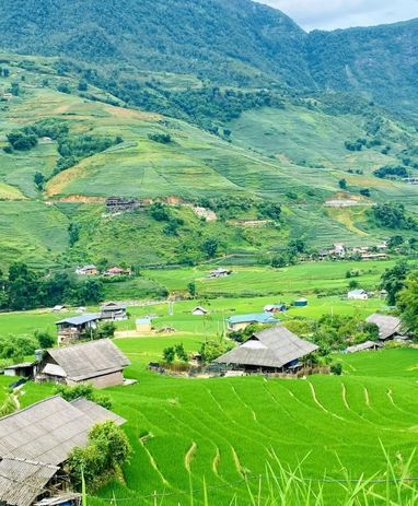 GOLDEN RICE FILED IN SAPA